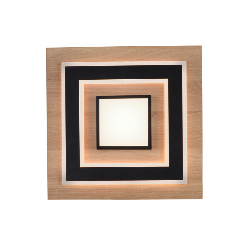 Plafoniera Paul Neuhaus TOLA LED Negru