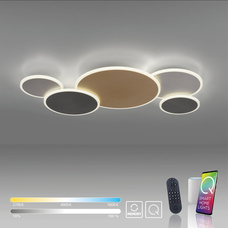 Plafoniera Paul Neuhaus Q-PIATO 5xLED Multicolor