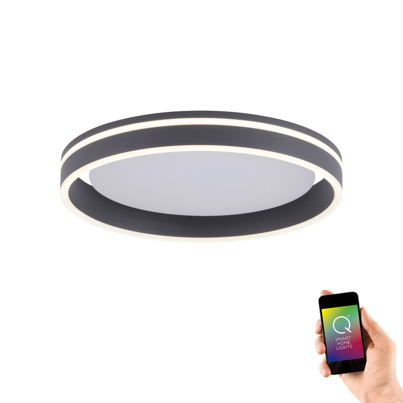 Plafoniera Paul Neuhaus Q-VITO LED Antracit