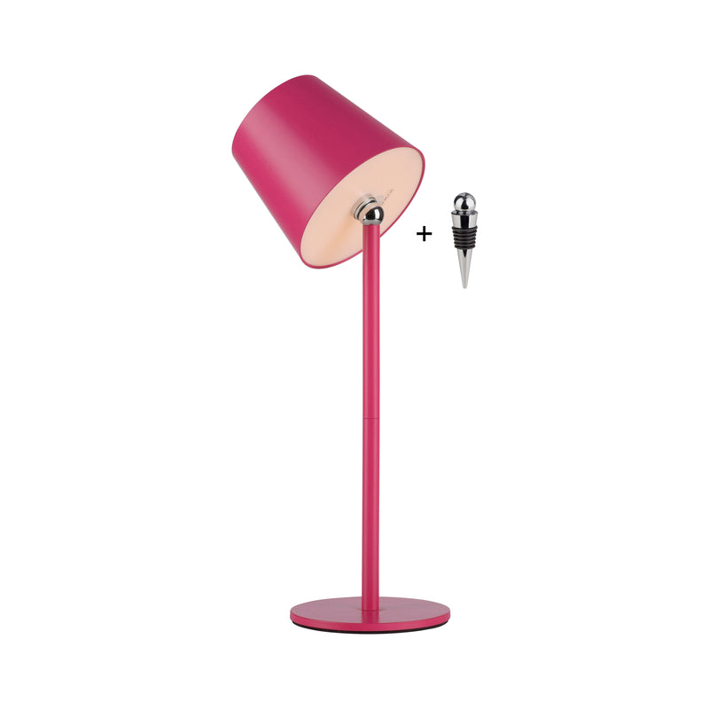 Veioza Paul Neuhaus BOTERIA LED Roz
