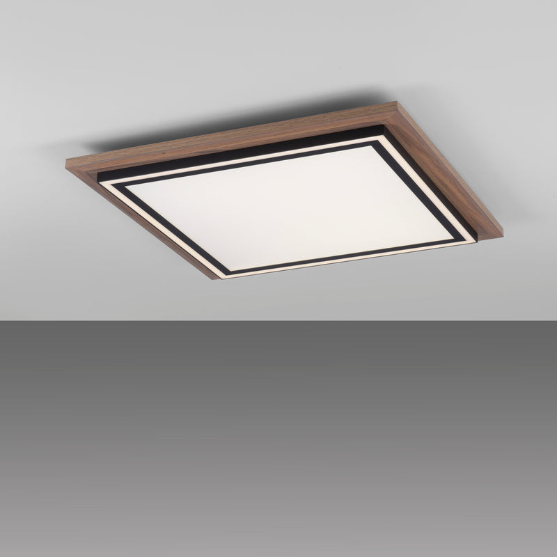 Plafoniera Paul Neuhaus PALMA 2xLED Lemn