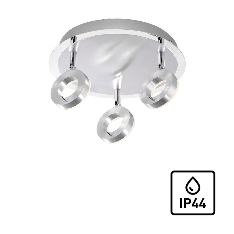 Plafoniera Paul Neuhaus SILEDA 3xLED Aluminiu