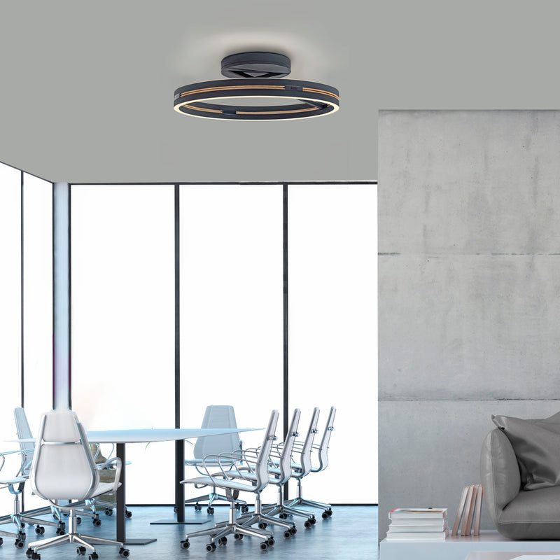Plafoniera Paul Neuhaus PURE LOOP 2xLED Negru