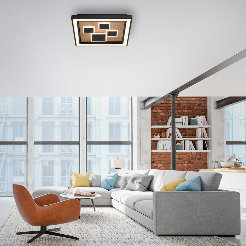 Plafoniera Paul Neuhaus ELIZA LED Negru