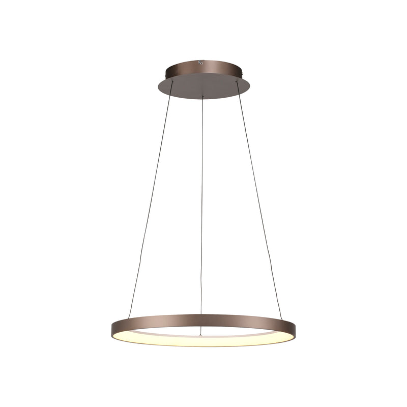 Lustra Paul Neuhaus HOOP LED Cafeniu