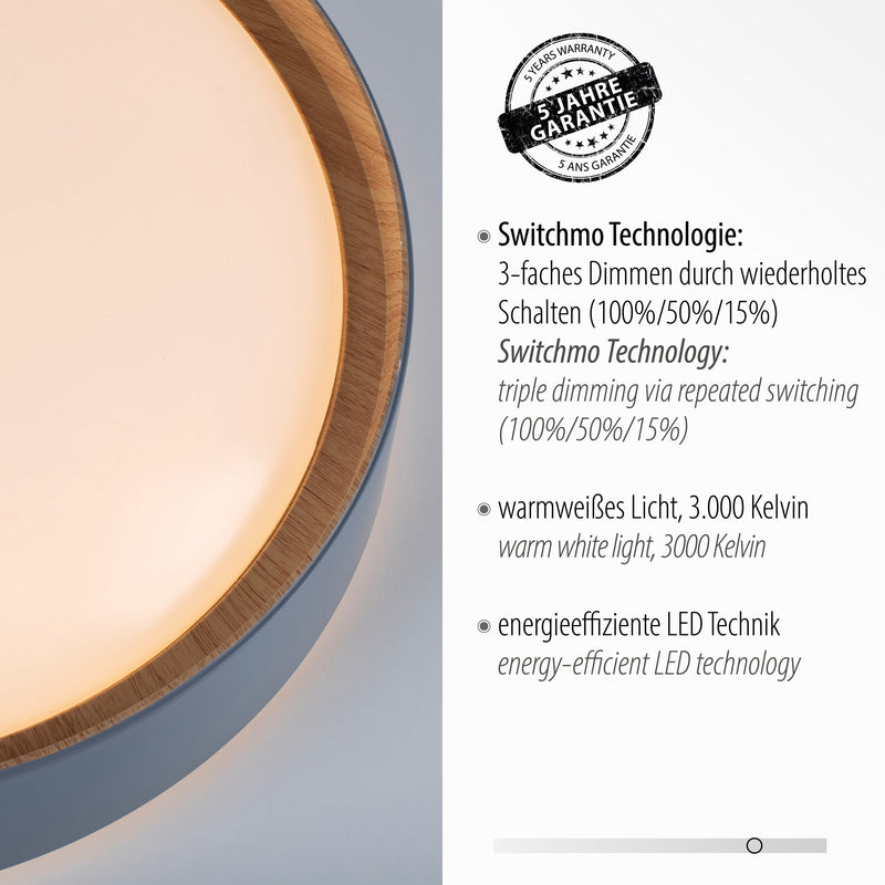 Plafoniera Paul Neuhaus EMILIA LED Gri