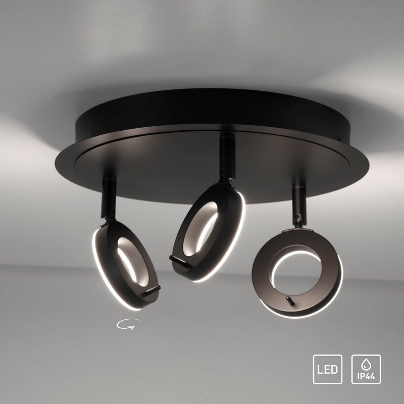 Plafoniera Paul Neuhaus SILEDA 3xLED Antracit