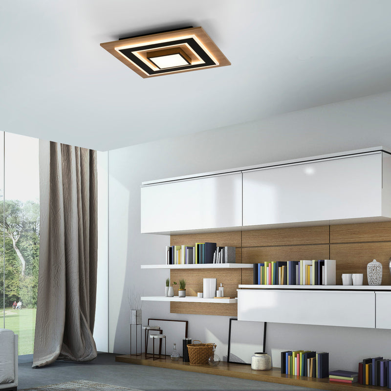 Plafoniera Paul Neuhaus TOLA LED Negru