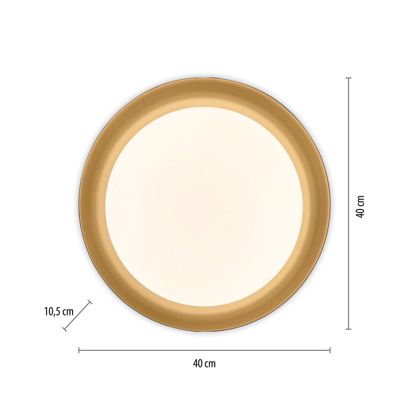 Plafoniera Paul Neuhaus OSKO LED Negru