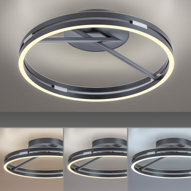 Plafoniera Paul Neuhaus PURE LOOP 2xLED Gri