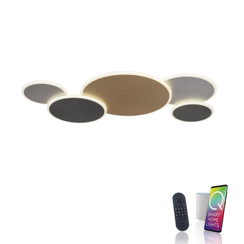 Plafoniera Paul Neuhaus Q-PIATO 5xLED Multicolor