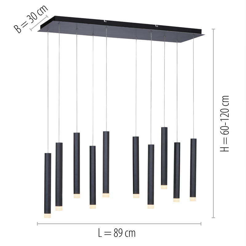 Lustra Paul Neuhaus BRUNO 10xLED Negru