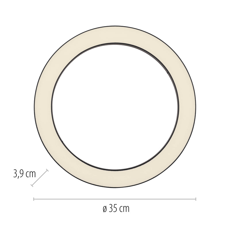 Plafoniera Paul Neuhaus PURE LINES ROUND LED Grafit
