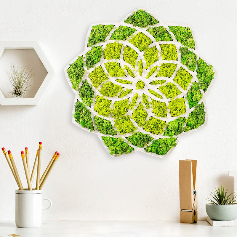 Accesoriu Iluminat Asi Home Daisy, Verde