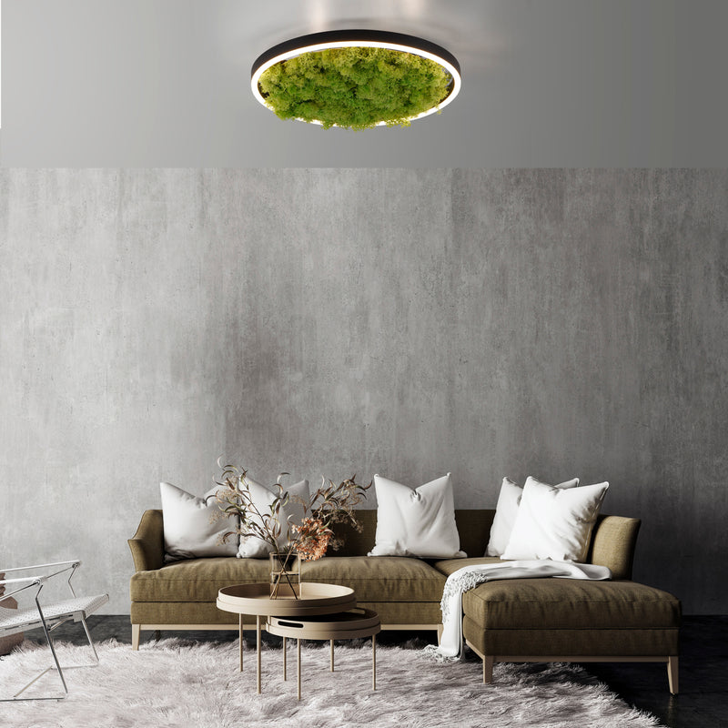 Plafoniera Zuma Line GREEN RITUS LED Muschi Natural