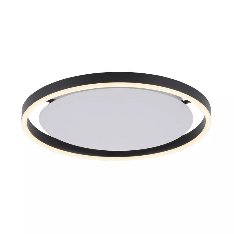 Plafoniera Paul Neuhaus RITUS LED Antracit