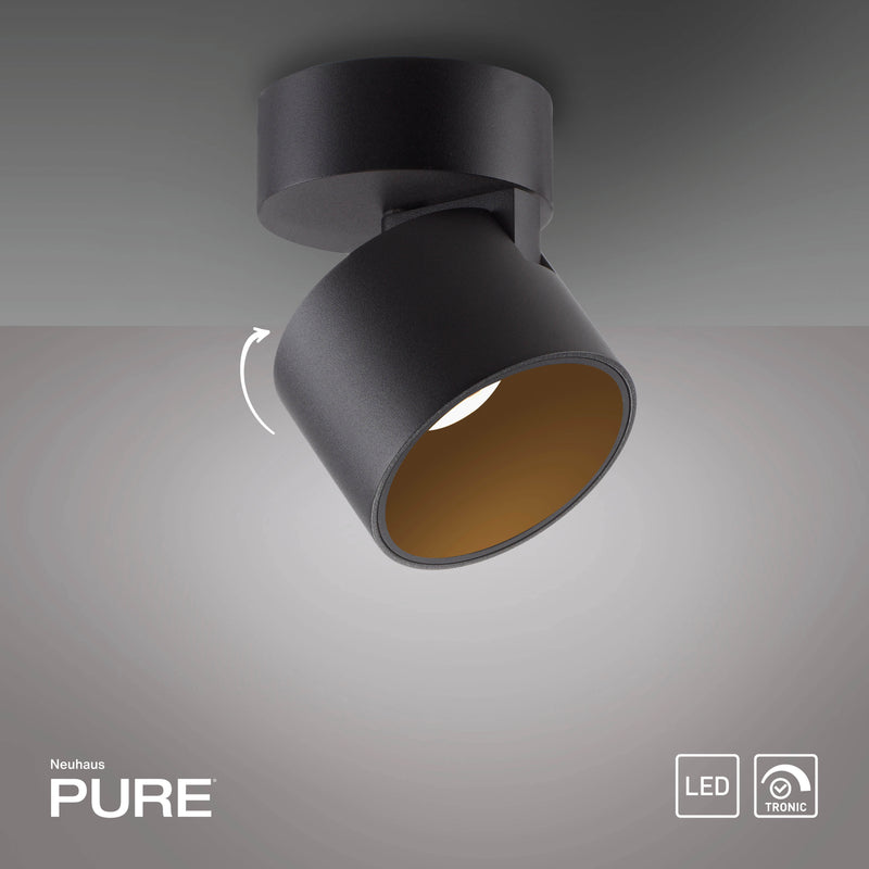 Plafoniera Paul Neuhaus PURE CUP LED Negru