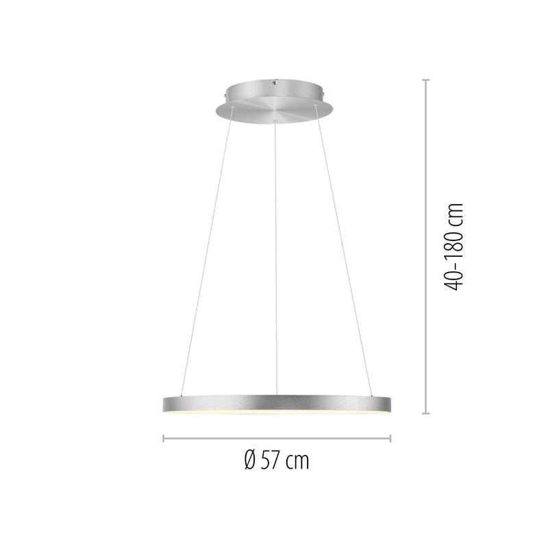 Lustra Paul Neuhaus HOOP LED Aluminiu