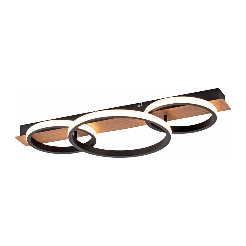 Plafoniera Paul Neuhaus TROOPER LED Lemn