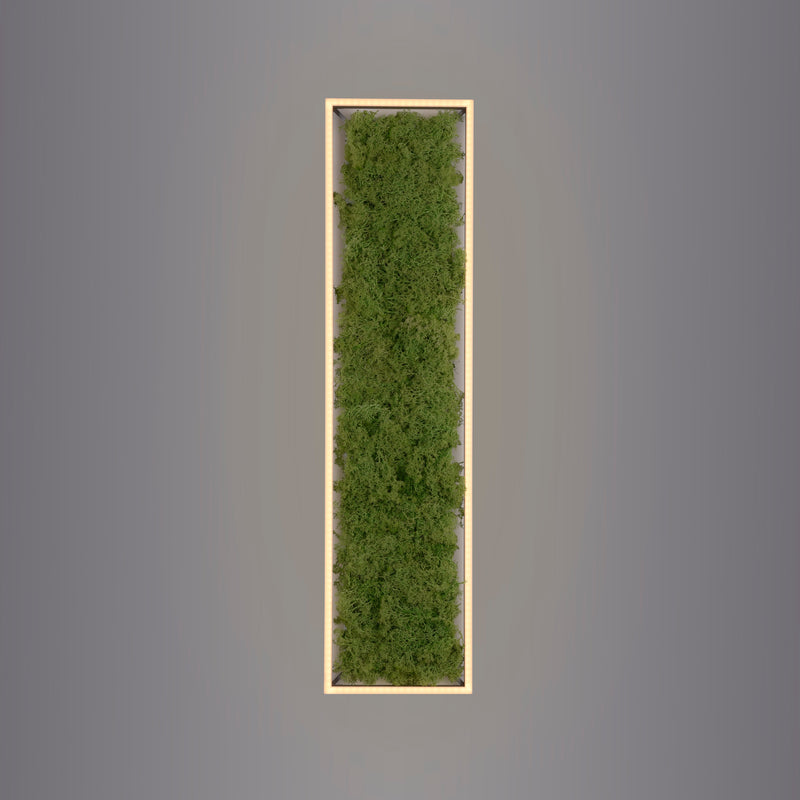 Plafoniera Zuma Line GREEN KNUT LED Muschi Natural