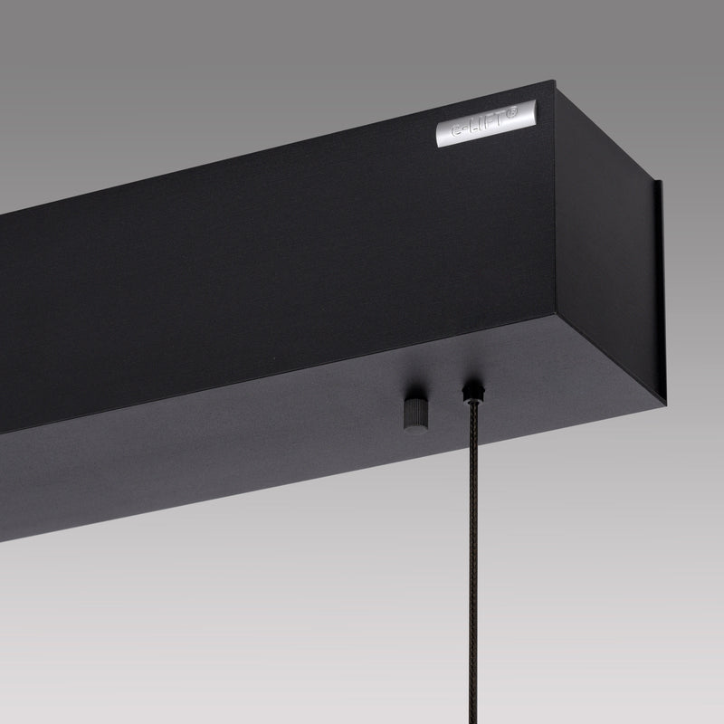 Lustra Paul Neuhaus PURE E-MOTION 2xLED Negru