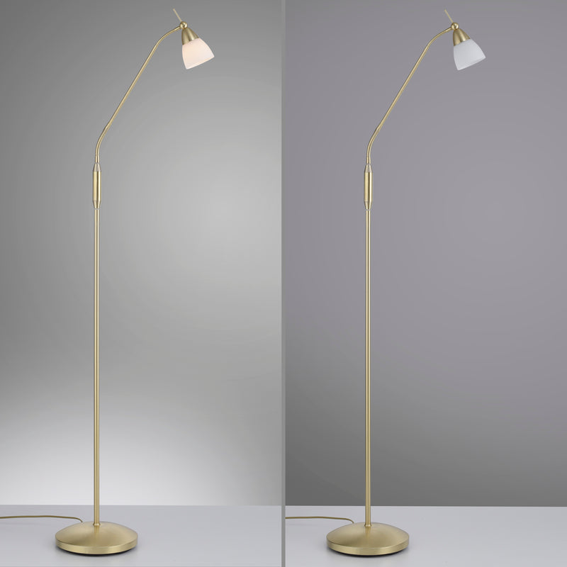 Lampadar Paul Neuhaus PINO 1xG9 Alama Mat