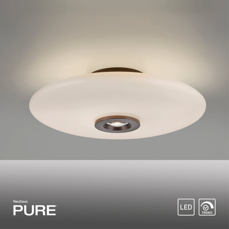 Plafoniera Paul Neuhaus PURE VITRUM 2xLED Maro Metalic