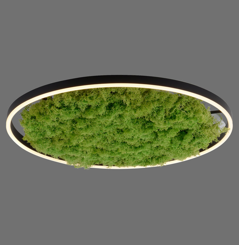 Plafoniera Zuma Line GREEN RITUS LED Muschi Natural
