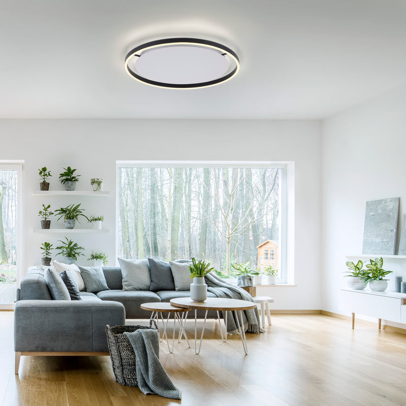 Plafoniera Paul Neuhaus RITUS LED Antracit