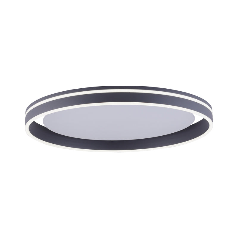 Plafoniera Paul Neuhaus Q-VITO LED Antracit