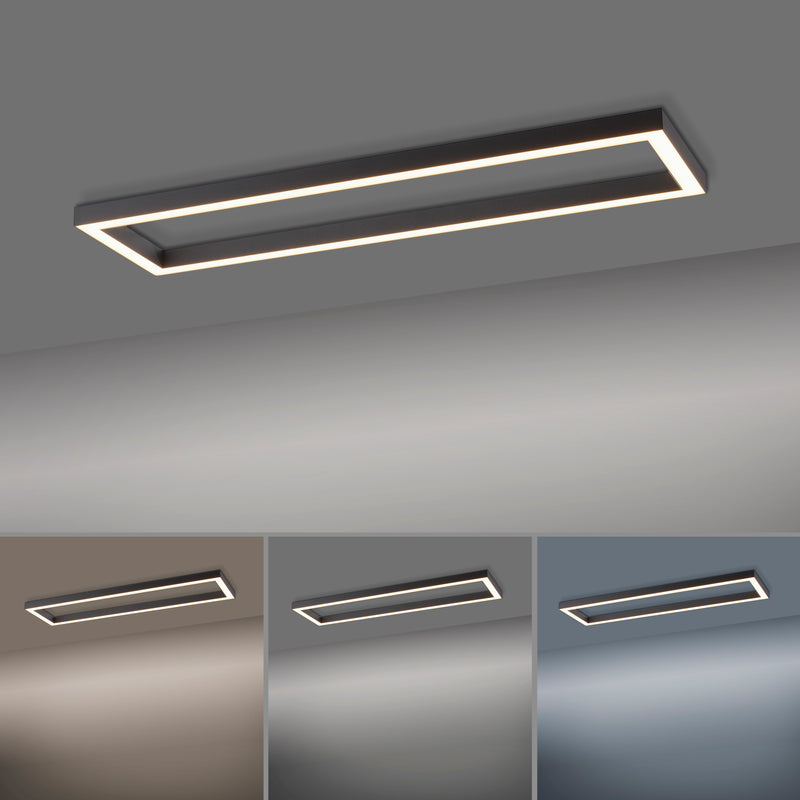 Plafoniera Paul Neuhaus PURE-LINES LED Antracit