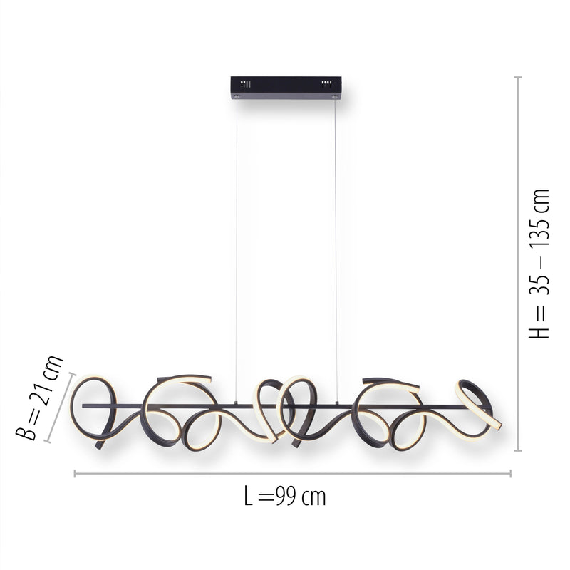 Lustra Paul Neuhaus CURLS 4xLED Negru