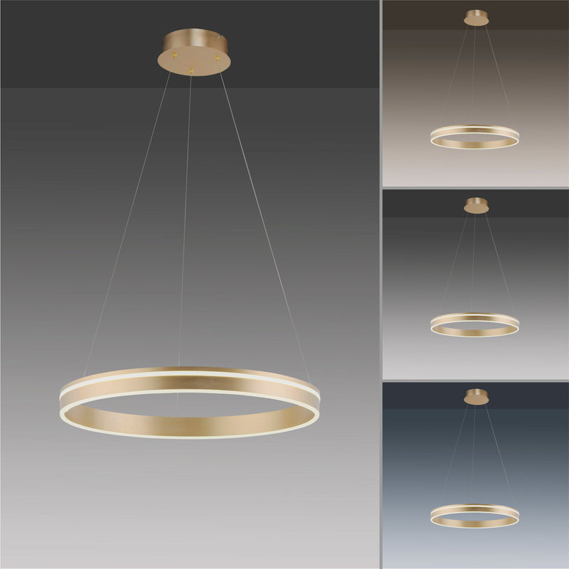 Lustra Paul Neuhaus Q-VITO LED Alama Mat