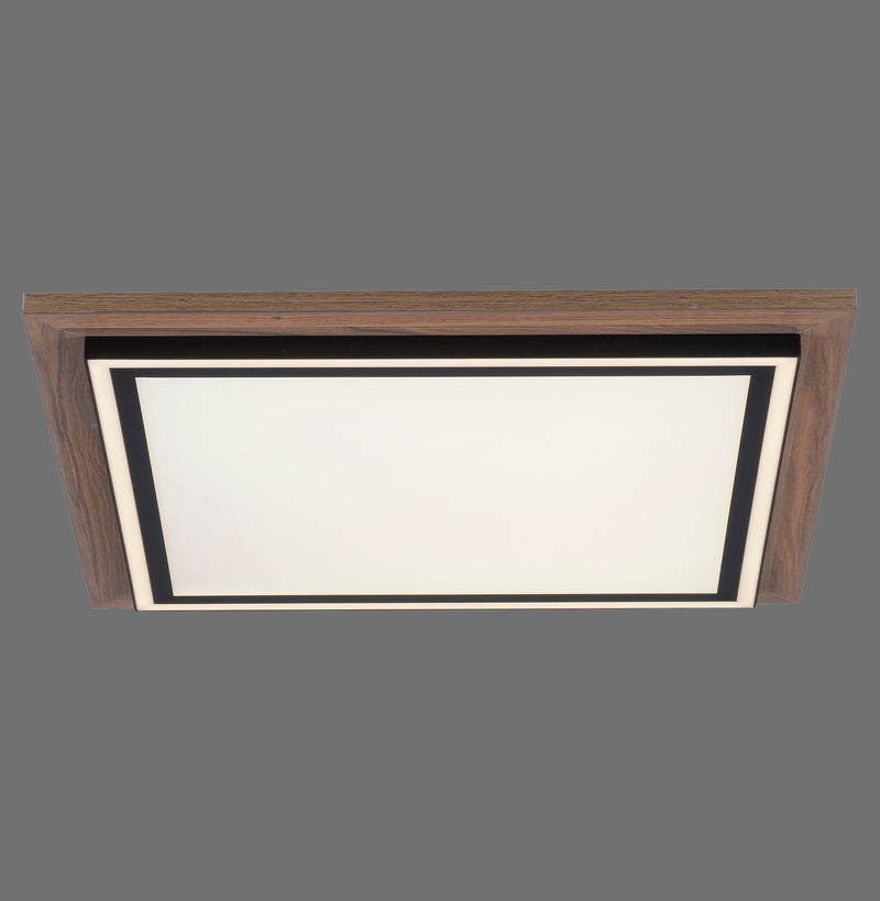 Plafoniera Paul Neuhaus PALMA 2xLED Lemn