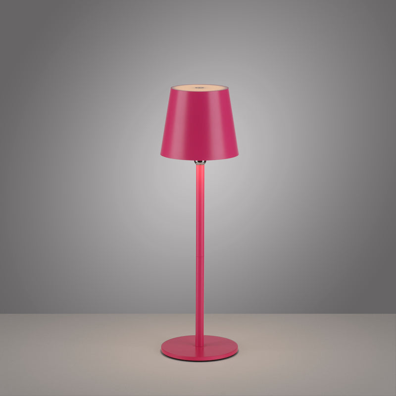 Veioza Paul Neuhaus BOTERIA LED Roz