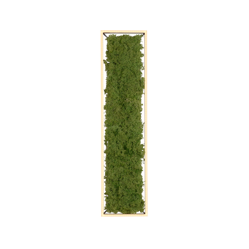 Plafoniera Zuma Line GREEN KNUT LED Muschi Natural