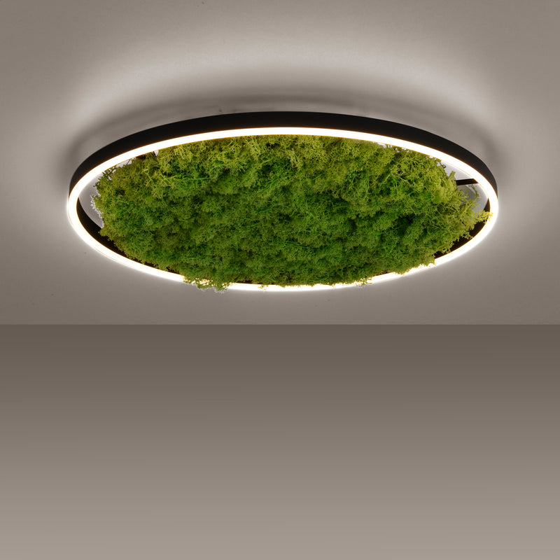Plafoniera Zuma Line GREEN RITUS LED Muschi Natural