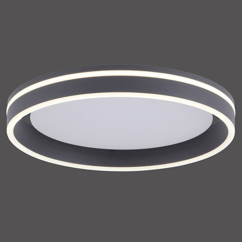 Plafoniera Paul Neuhaus Q-VITO LED Antracit