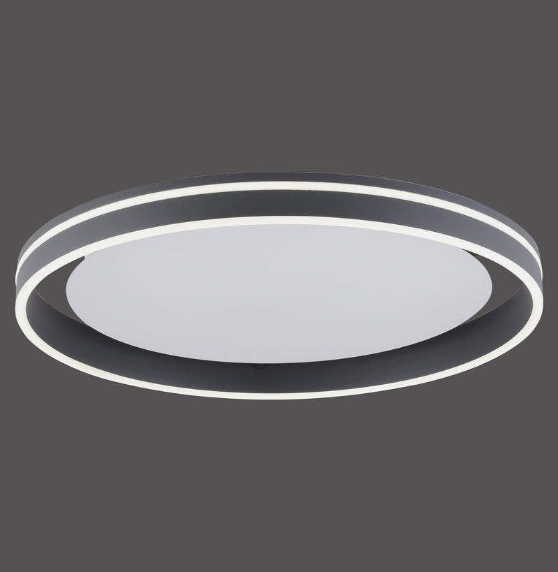 Plafoniera Paul Neuhaus Q-VITO LED Antracit