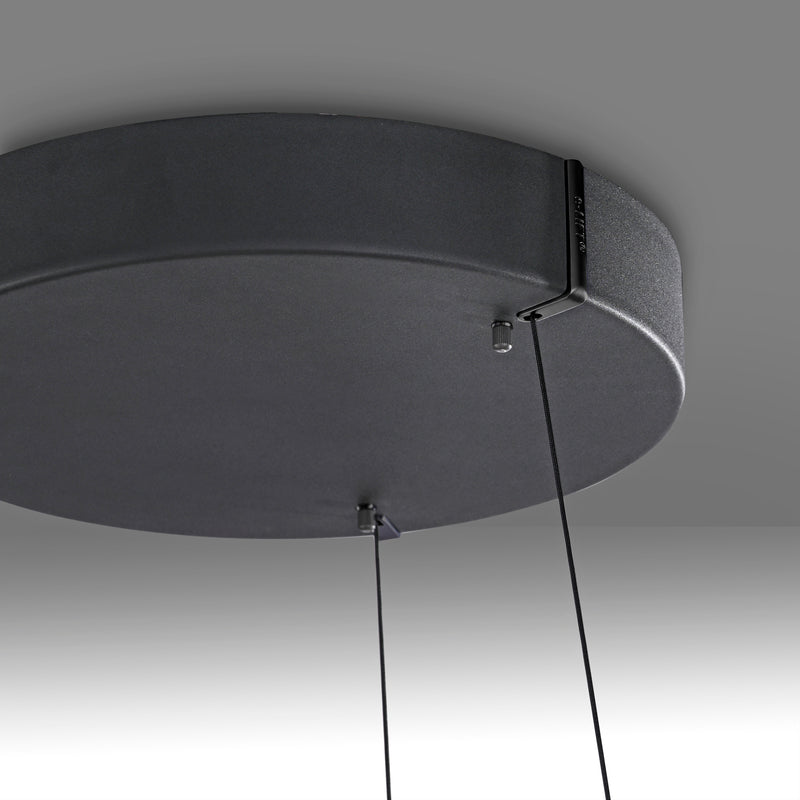 Lustra Paul Neuhaus PURE E-LOOP 2xLED Negru