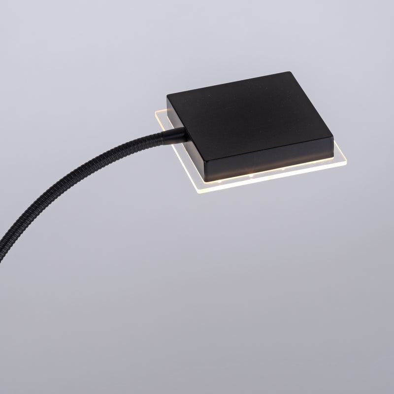 Lampadar Paul Neuhaus HANS 2xLED Negru