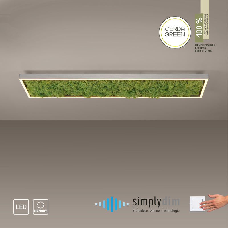 Plafoniera Zuma Line GREEN KNUT LED Muschi Natural