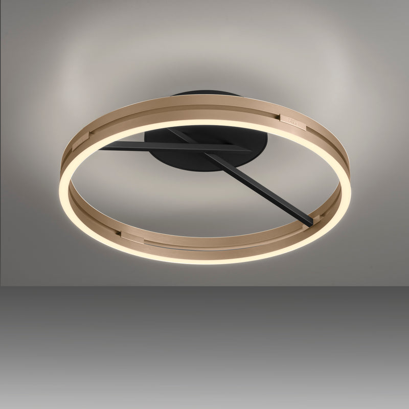 Plafoniera Paul Neuhaus PURE LOOP 2xLED Negru