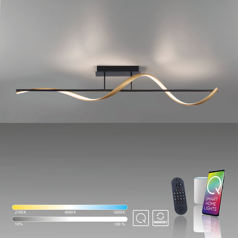 Plafoniera Paul Neuhaus Q-SWING LED Antracit