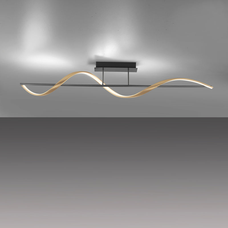 Plafoniera Paul Neuhaus Q-SWING LED Antracit