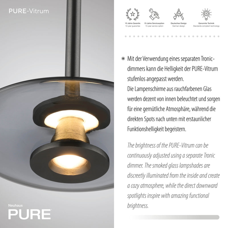 Lustra Paul Neuhaus PURE VITRUM 6xLED Gri