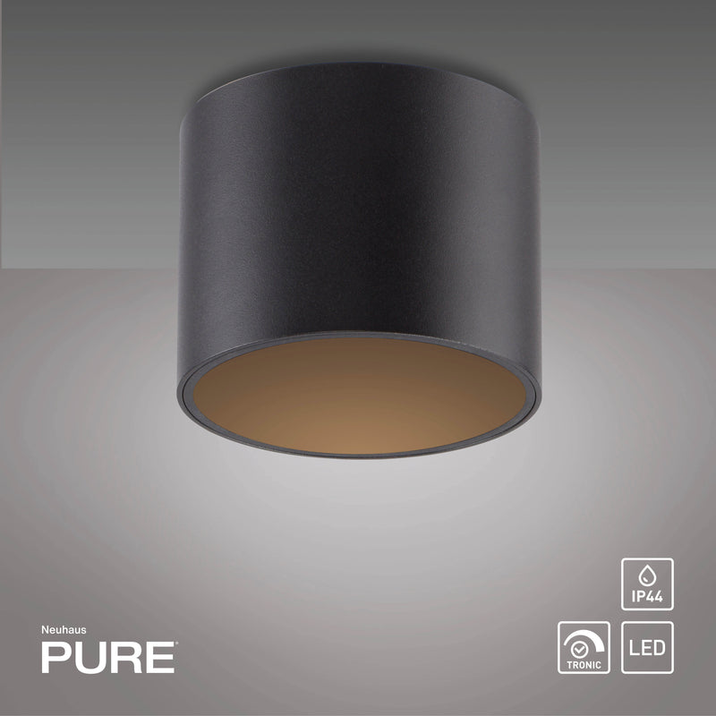 Plafoniera Paul Neuhaus PURE POINT LED Negru