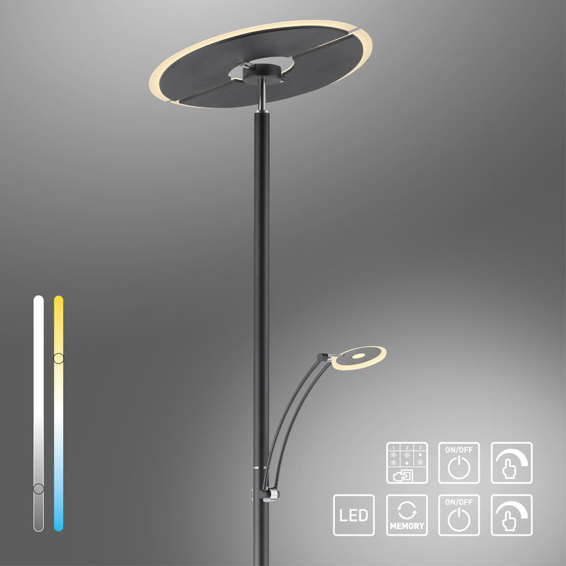 Lampadar Paul Neuhaus ARTUR LED Antracit