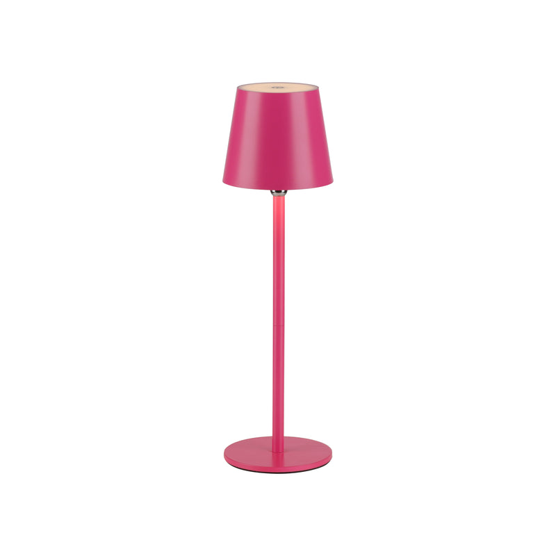 Veioza Paul Neuhaus BOTERIA LED Roz