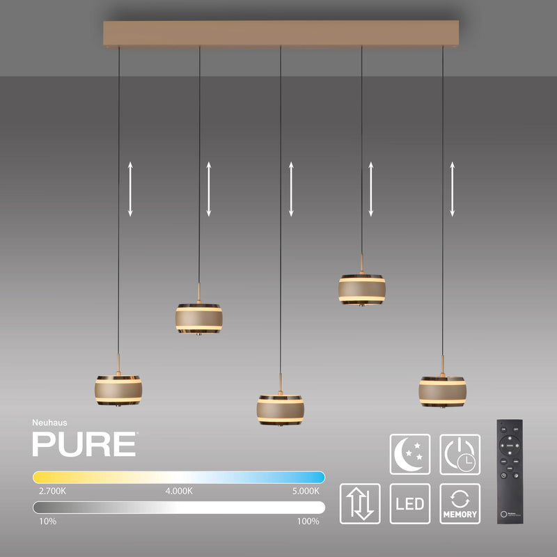 Lustra Paul Neuhaus PURE FALLING RINGS 5xLED Maro